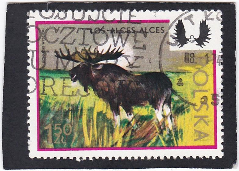 POLAND,  #  1973    used