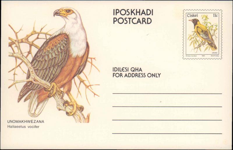 South Africa, Ciskei, Government Postal Card, Birds