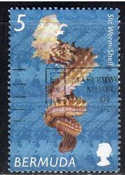 Bermuda 837 - Used - Slit Worm-shell