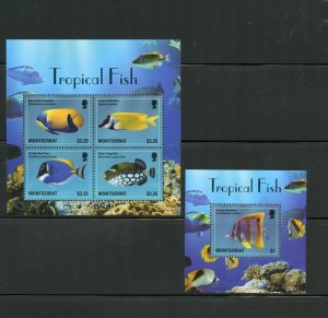 CLOSE OUT MONTSERRAT TROPICAL FISH SHEET & SOUVENIR SHEET MINT NH