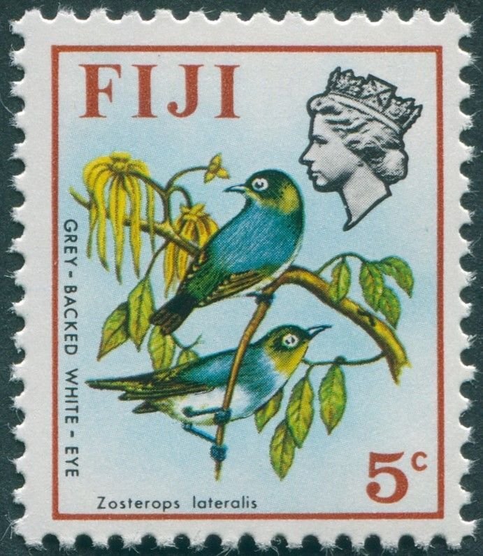 Fiji 1971 5c Grey-backed White Eye SG439 MNH