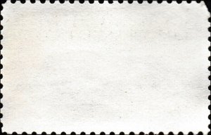 # 1409 USED FORT SNELLING