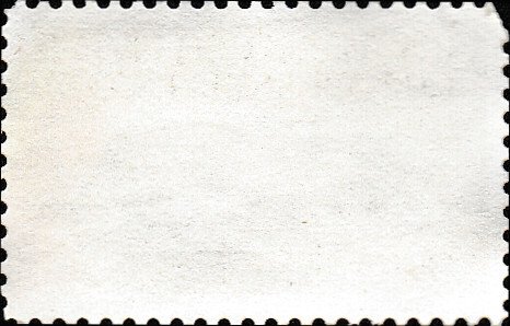 # 1409 USED FORT SNELLING