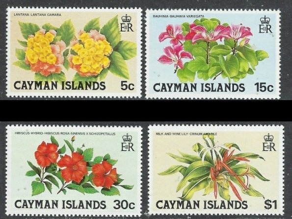 Cayman Is 448-51 MNH 1980 Flowers (an6952)