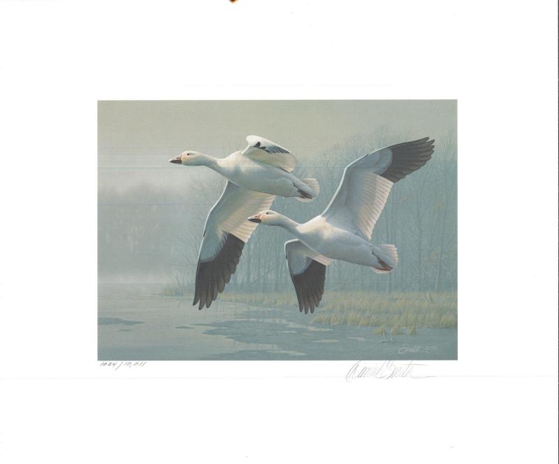 NEW JERSEY  #6 1989  DUCK  STAMP PRINT  SNOW GEESE EXECUTIVE ED By Daniel Smith