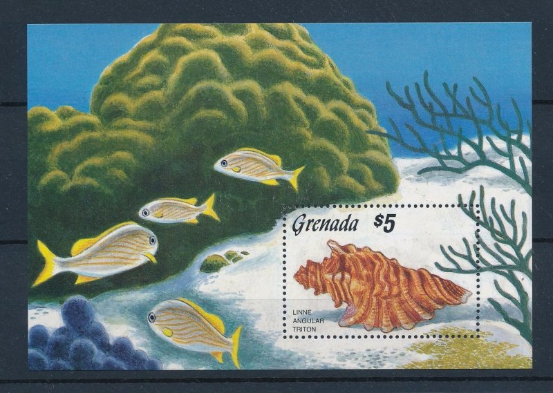 [47467] Grenada 1986 Marine life seashell fish Souvenir Sheet MNH