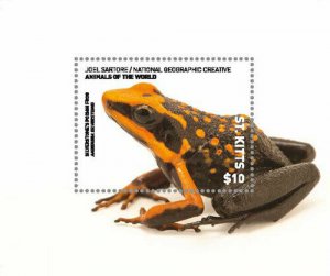 St. Kitts 2017 - Frog - Nat Geo Animals of the World - Souvenir Sheet - MNH 