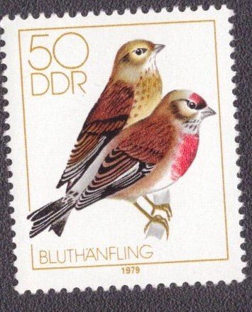 Germany DDR 1981 1979 MNH
