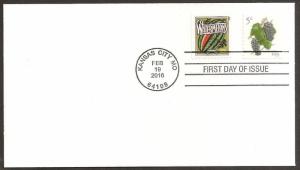 US 5038 Grapes Summer Harvest Watermelons CDS FDC 2016