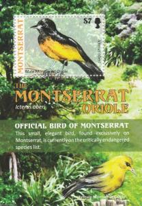MONTSERRAT  Birds of Montserrat