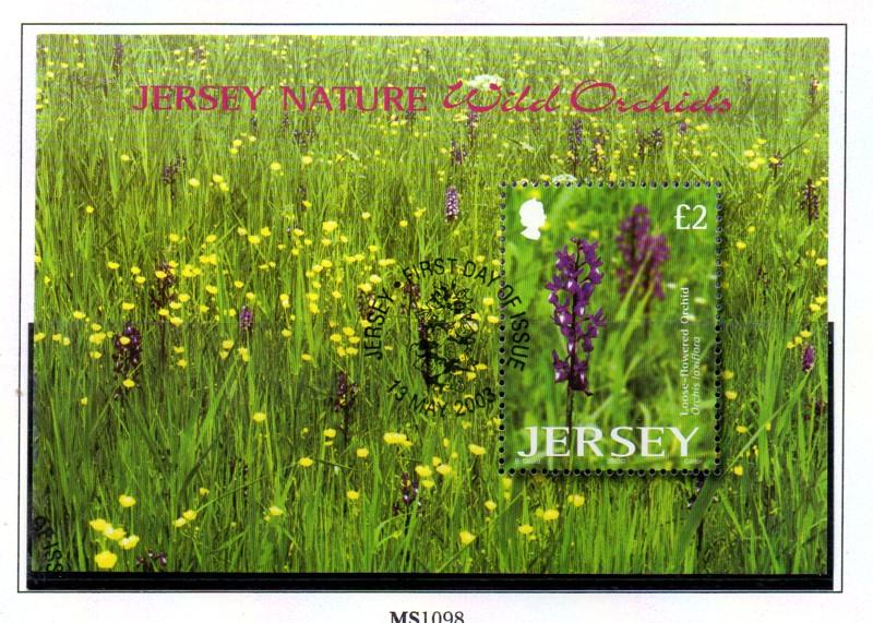 Jersey  Sc 1084 2003 £2 Wild Orchids stamp sheet used