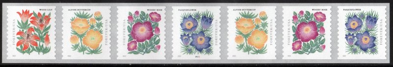 SC#5672-75 (Forever) Mountain Flora Coil Plate Strip of Seven (2022) SA