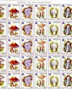 Paraguay 1986 MUSHROOMS SCOUTS Sheet of 5 Strips x 6 values Perforated Mint (NH)