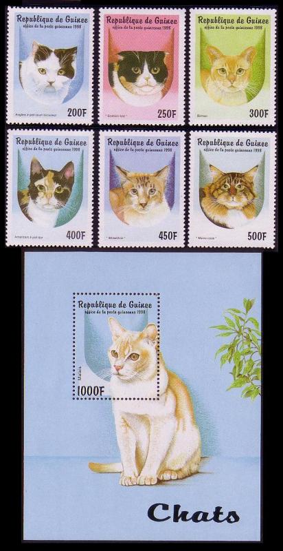 Guinea Cats 6v+MS issue 1998 MI#1771-1776+Block 522