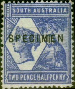 South Australia 1894 2 1/2d Violet-Blue SG234Var Error SPECIIMIEN V.F. Very L...