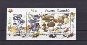 SA24b Romania 1994 Edible Mushrooms used sheet