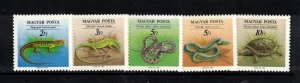 Hungary Sc 3189-93 MNH Set of 1989 - Animals - Reptiles