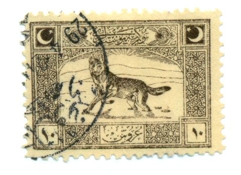 Turkey In Asia 1922 #83 U SCV(2022) = $3.50