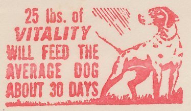 Meter cut USA 1951 Dog