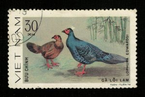 Birds 30xu (TS-651)