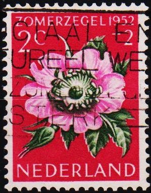 Netherlands. 1952 2c+2c S.G.749  Fine Used