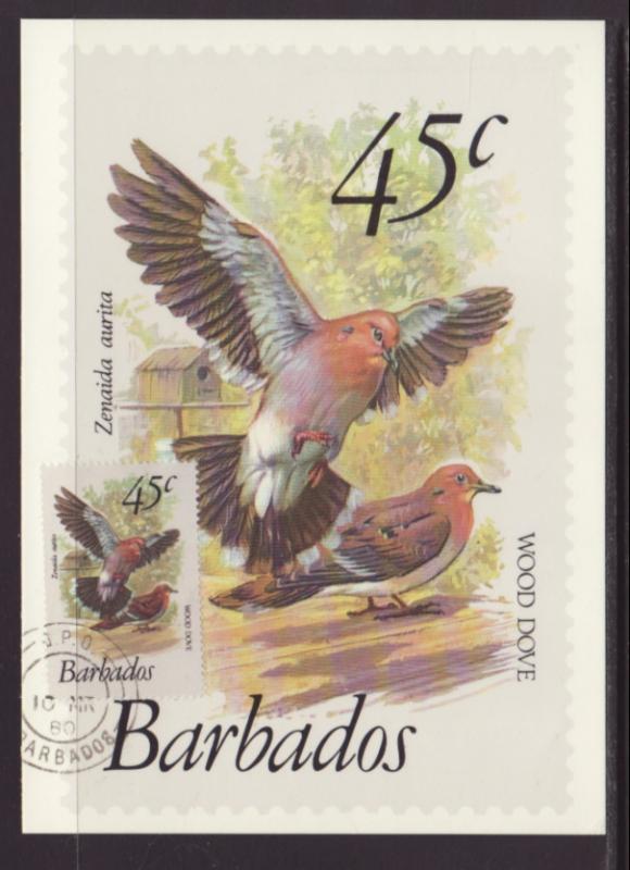 Barbados 505 Birds Maxi Card U/A FDC