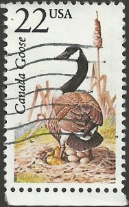 # 2334 USED CANADA GOOSE