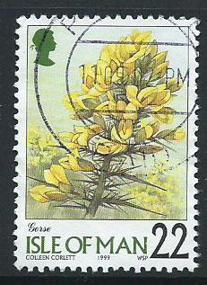 Isle of Man  SG 780 VFU imprint 1999