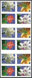 US 4865b - MNH Booklet Pane of 20 Forever stamps. Winter Flowers. FREE SHIPPING!