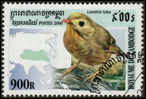 Cambodia 2033 - Cto - 900r Red-billed Leiothrix (2000)