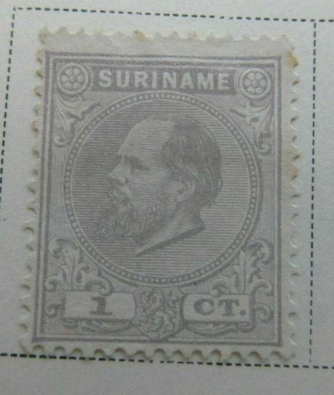 Surinam 1885 1c Fine MNG A13P9F935