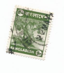 Bangladesh 1976 - scott 95 used - Jack Fruit