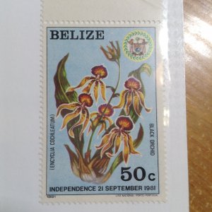 Belize  # 583  MNH