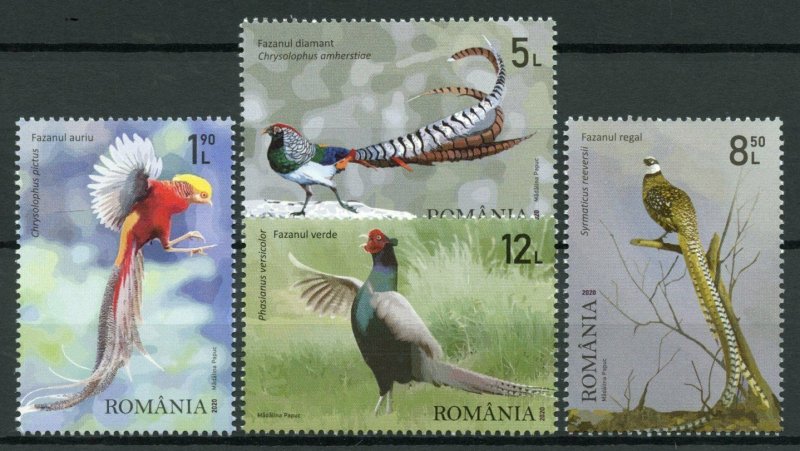 Romania Birds on Stamps 2020 MNH Pheasants Golden Pheasant Fauna 4v Set