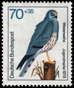 Germany - Scott B499 - Mint-Never-Hinged