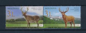 [39945] Moldova 2008 Wild Animals Mammals Deers MNH