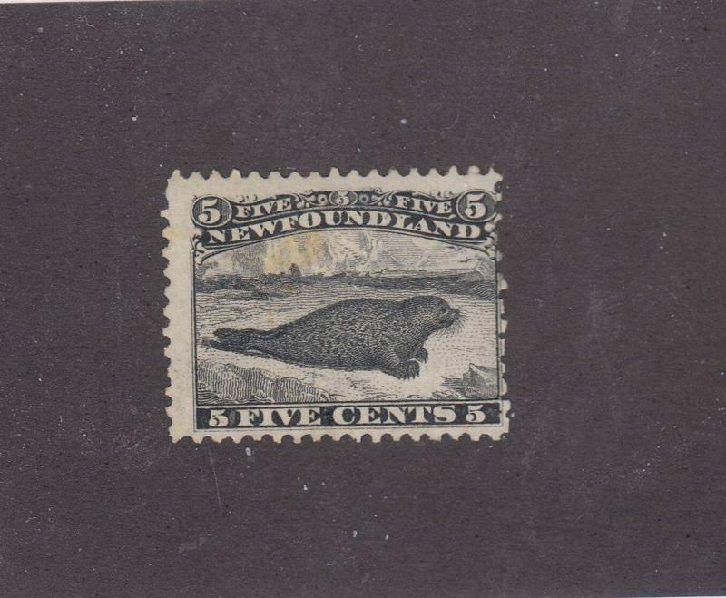 NEWFOUNDLAND # 26  F-MH   5cts   HARP SEAL  BLACK  CAT VALUE $200