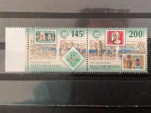Hungary / Hongarije - Postfris/MNH - Complete set 100 years Jozsef Vertel 2022