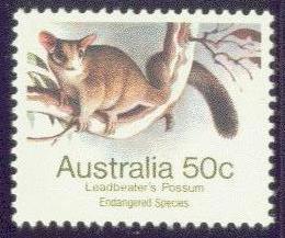 AUSTRALIA  793 MNH 1982 WILDLIFE-LEADBEATERS OPPOSSUM