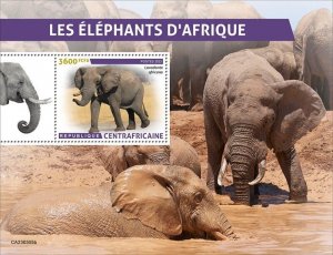 Central Africa - 2023 African Bush Elephant - Stamp Souvenir Sheet - CA230305b