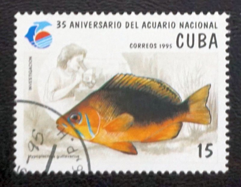 CUBA Sc# 3631 NATIONAL AQUARIUM FISH marine life  15c 1995  used cto