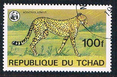 Chad 370 Used Cheetah  (BP12420)