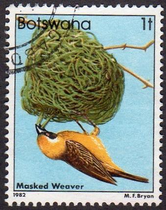 Botswana 303 - Used - 1t Masked Weaver (1982) (cv $ 1.75) (2)