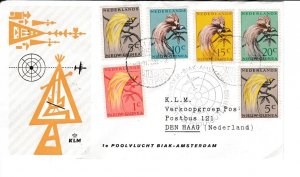 Netherlands New Guinea # 22 / 29, Bird of Paradise, First Day Cover