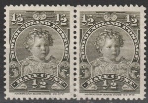 Newfoundland #78 , Unused pair  (1356)