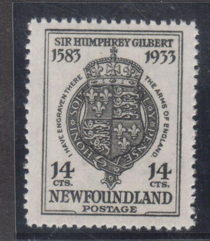 Newfoundland #221b Extra Fine Never Hinged Perf 14