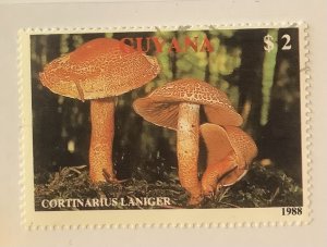 Guyana 1989 Scott 2010b CTO - $2, mushrooms, Cortinarius laniger