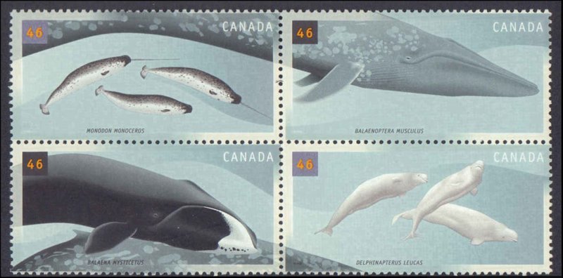 Canada #1871a, Complete Set, Block of 4, 2000, Whales, Never Hinged