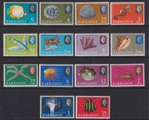 1965 Barbados QE Marine Life complete set MNH Sc# 267 / 280CV $18.50