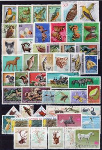 003 - Fauna - Birds -Butterflies -Fish - Snake - Dogs - 50 Different used stamps
